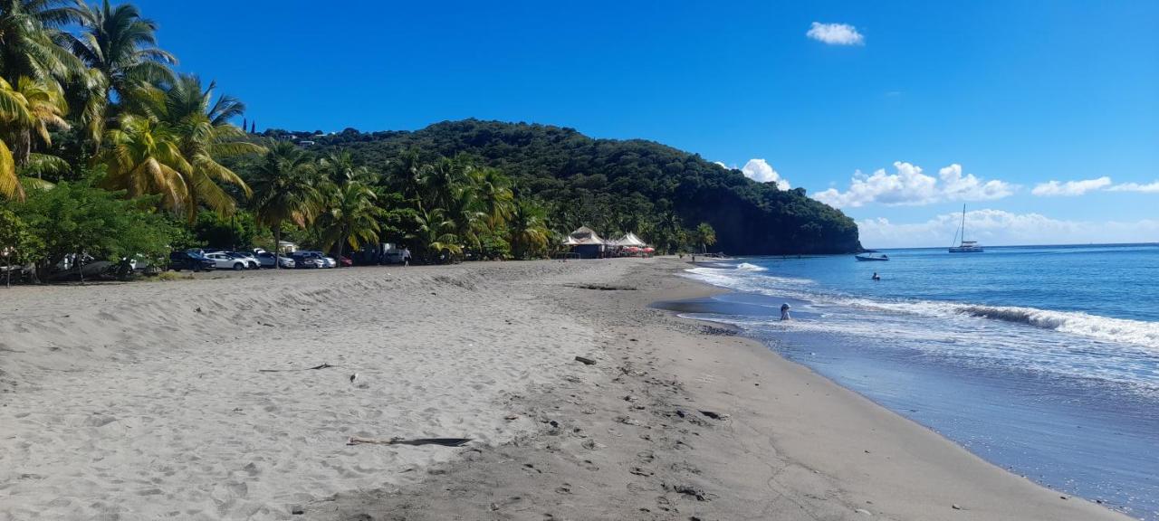 Le LiloVert - Studio 24 m2 - 3