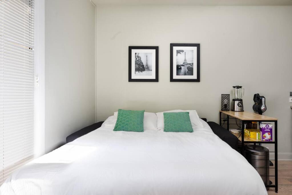 Special! 500m to Eiffel Tower: Duplex with terrace - 5