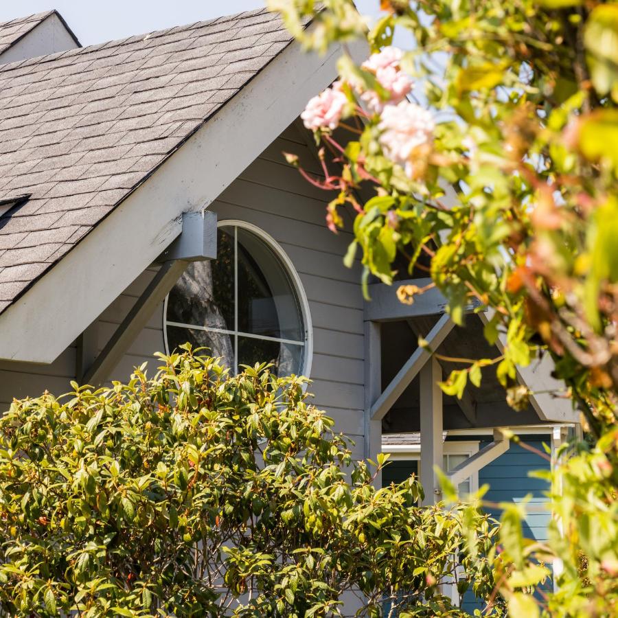 SCP Mendocino Coast Lodge — photo 10