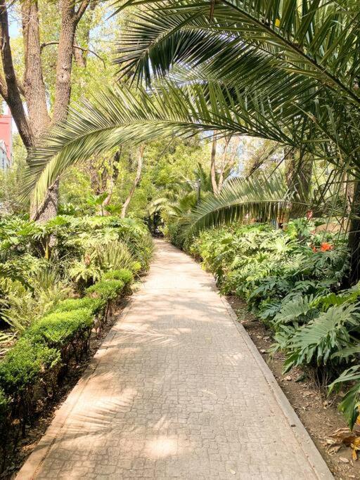 Suite Chic HCondesa - 5