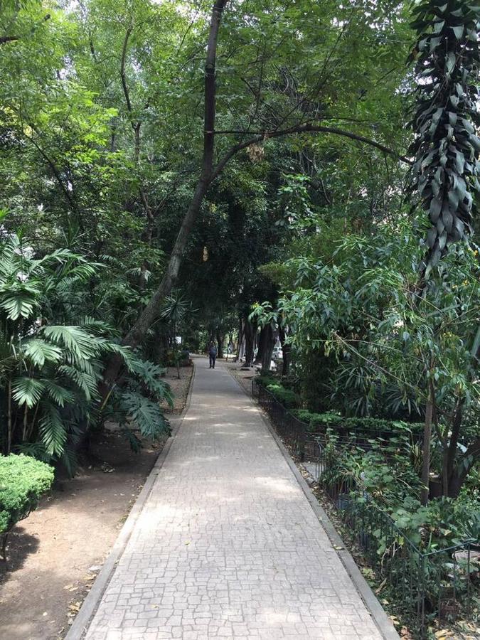 Condesa Residence Amsterdam 303 Exquisite 1 Bedroom, 1 Bathroom Residence on Amsterdam Avenue - 5