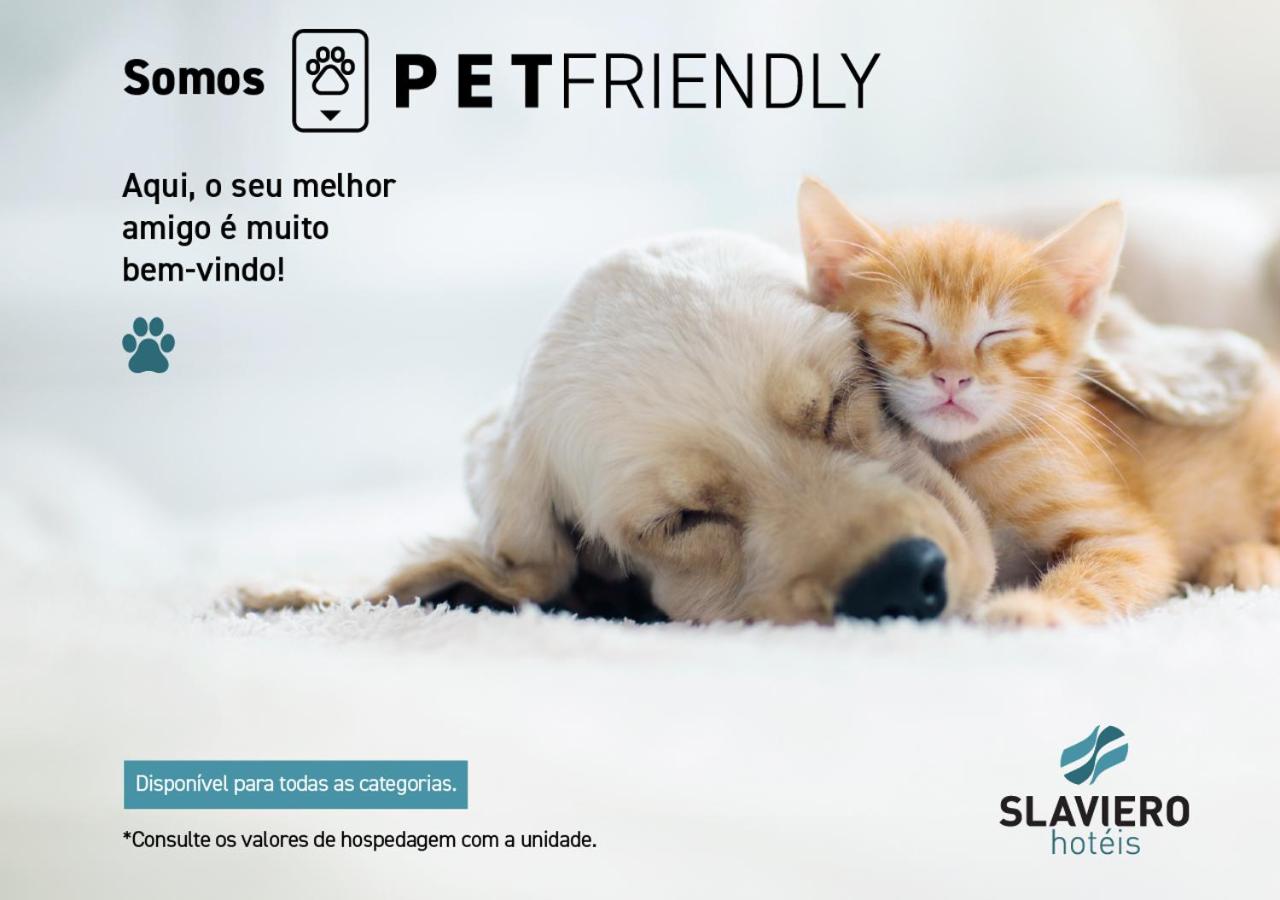 Slaviero São Paulo Ibirapuera photo