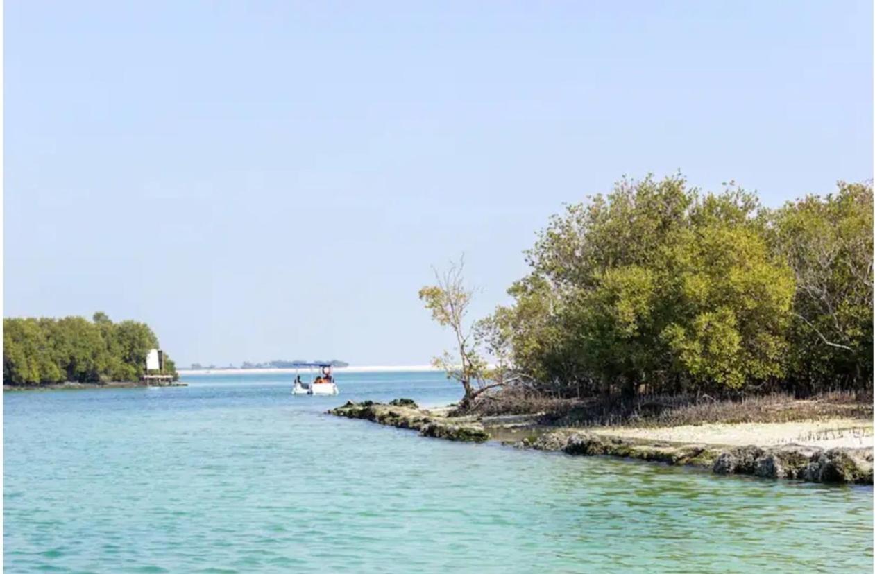 Heart of Abu Dhabi - New Community Elite Room - 5