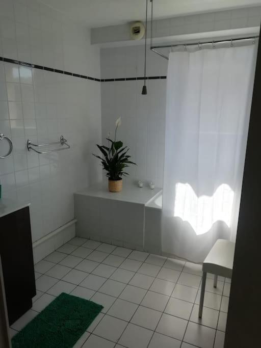 Bordeaux Downtown, pool access - 5