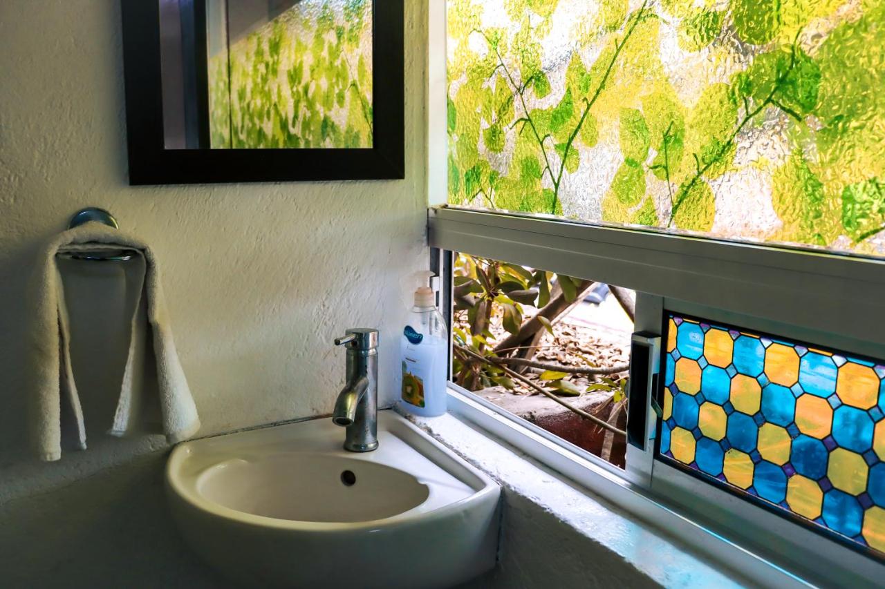 Hostal Cuija Coyoacan Berlin 268 Coyoacan - 3