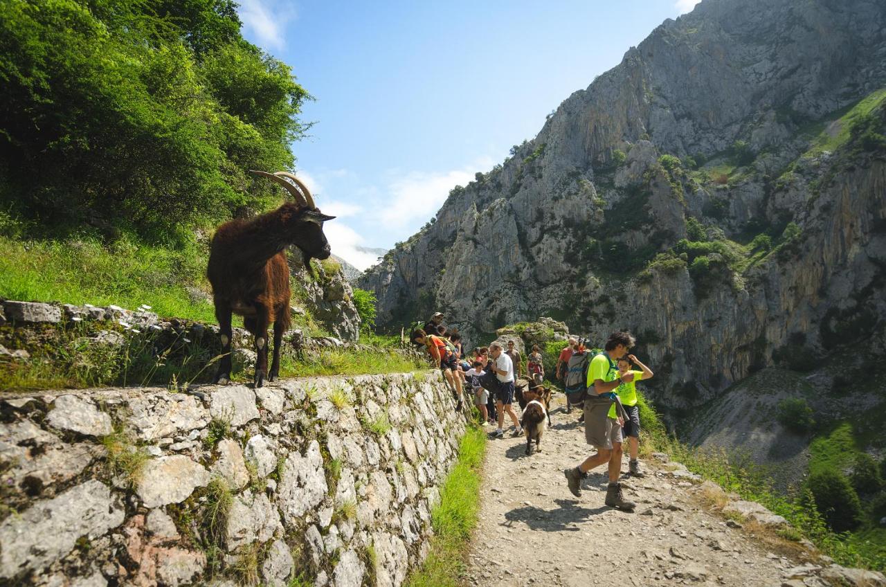 Hotel Arcea Mirador de Cabrales, Poncebos, Spain - Booking.com