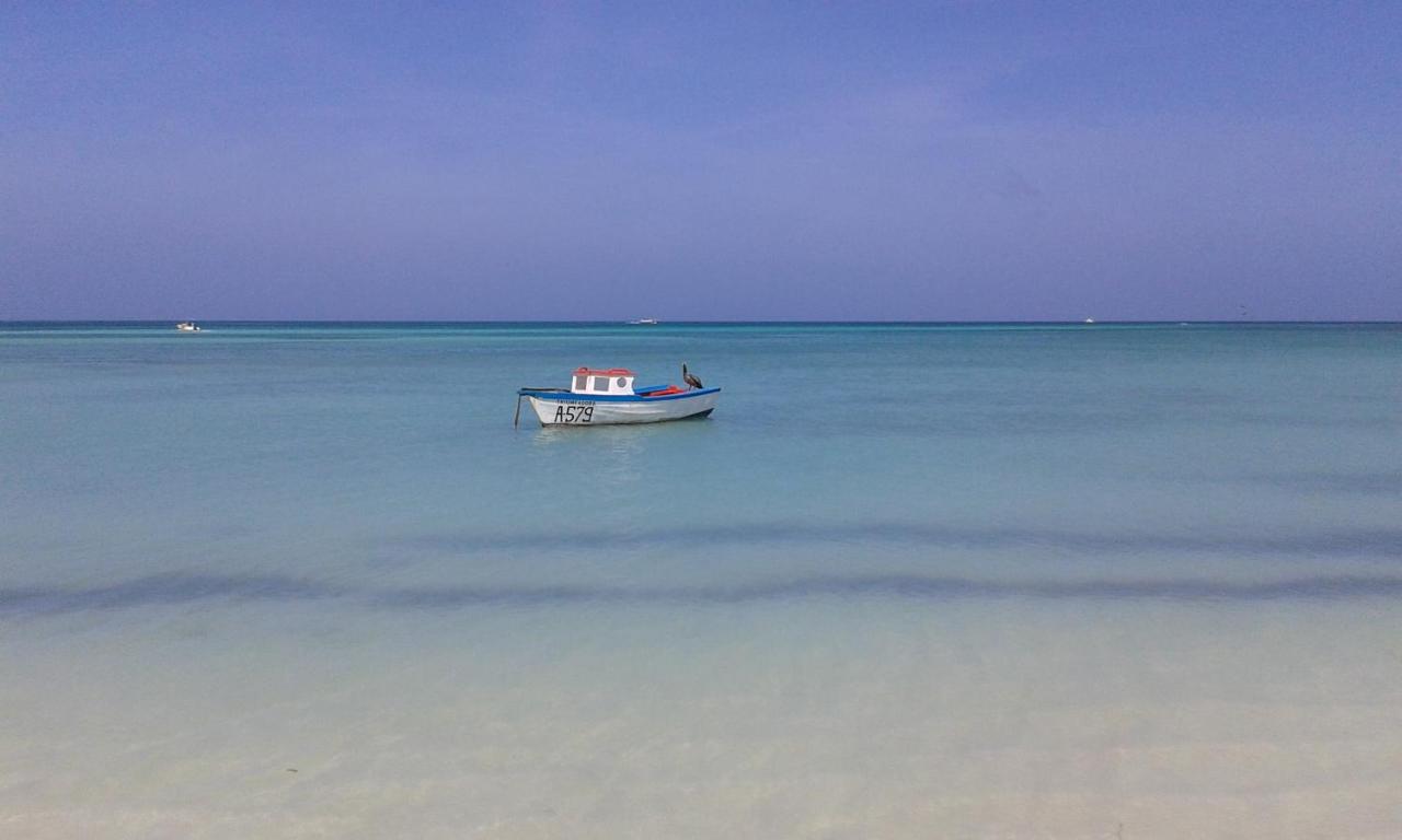 Karibu Aruba Boutique Hotel photo