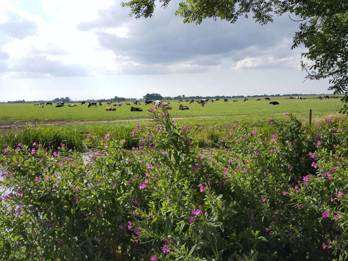 Bed & Breakfast De Koegang photo