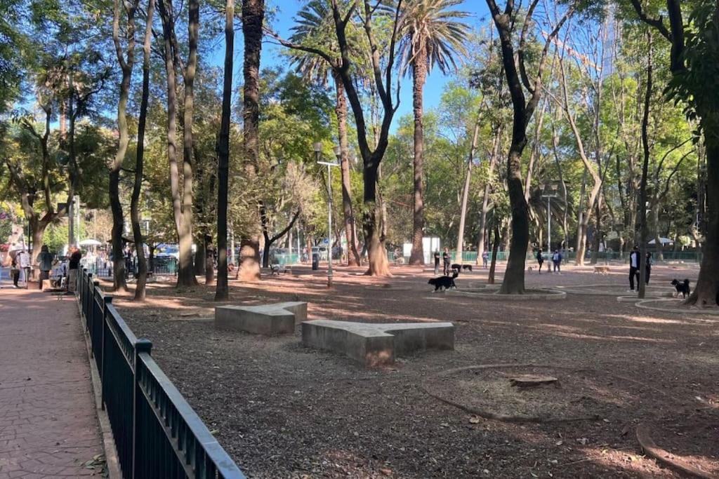 Condesa Residence Amsterdam E Cozy Living Space in the Heart of the City on Amsterdam Avenue - 4