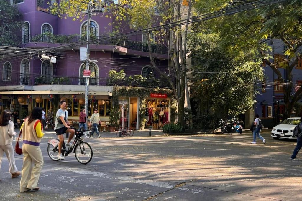 Condesa Residence Campeche 5 Modern Residence 2BR 1BA Apartment Emphasizing Open Airy Spaces in Campeche - 3