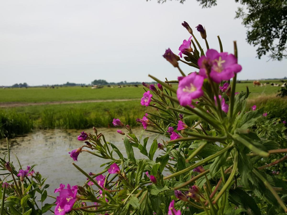 Bed & Breakfast De Koegang photo