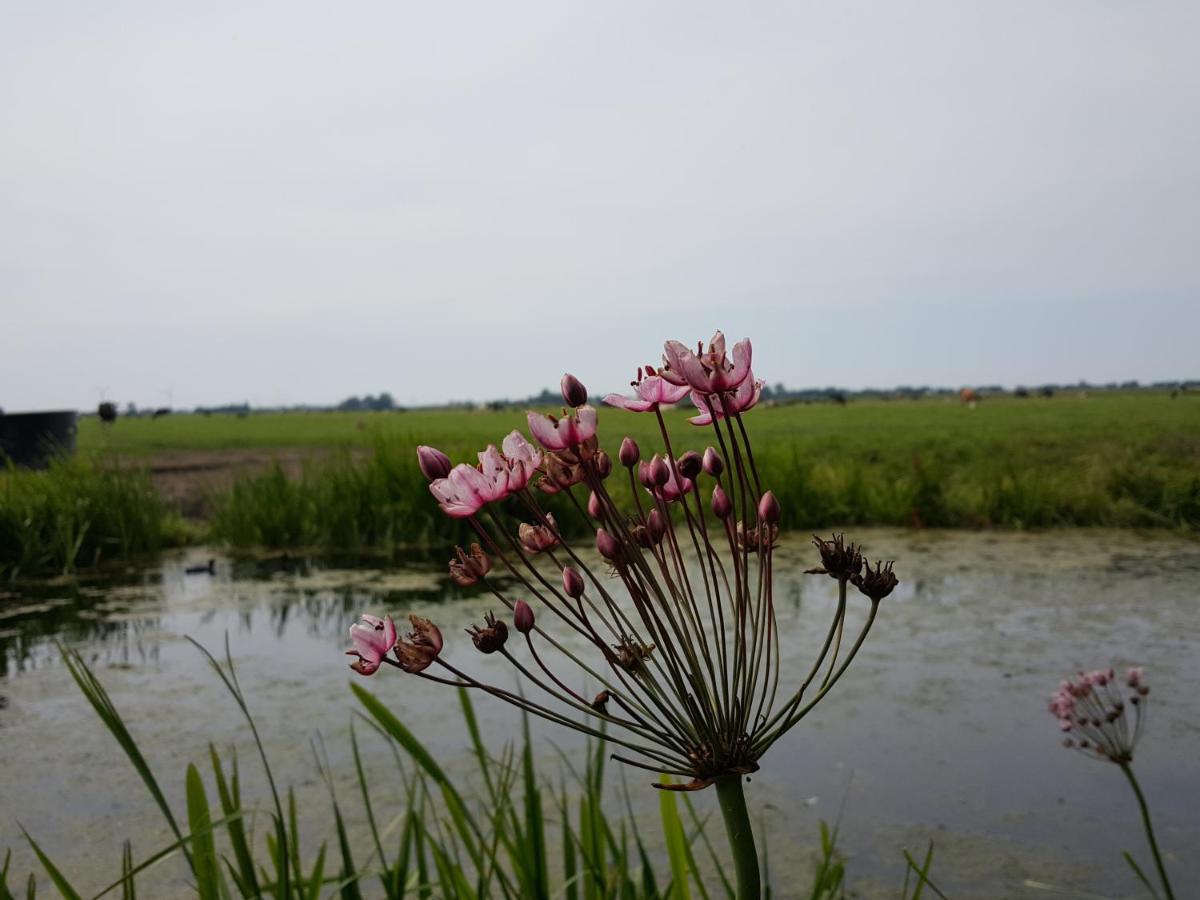 Bed & Breakfast De Koegang photo