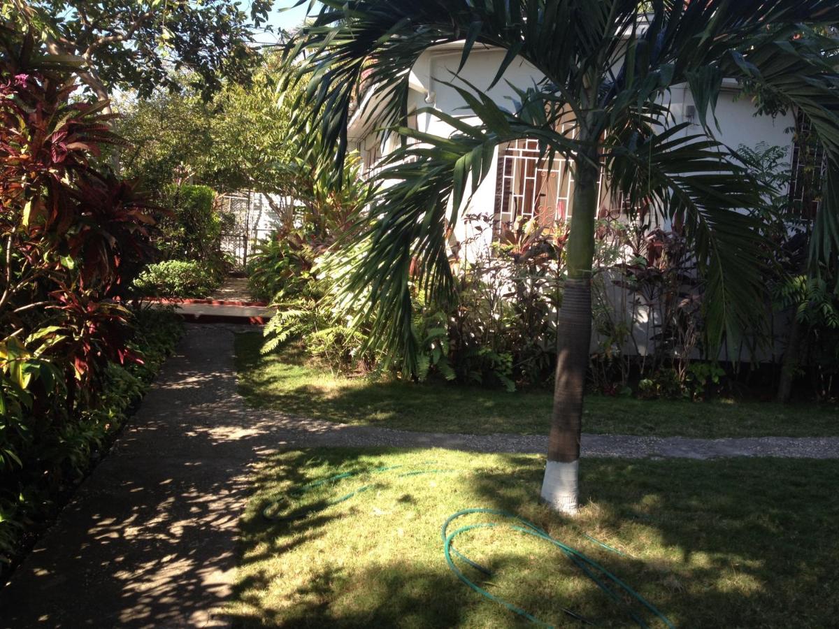 Kingston Airport bed and breakfast - 2