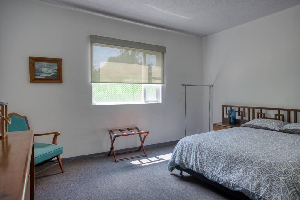 Spacious Apartment in the heart of Roma Norte - 2