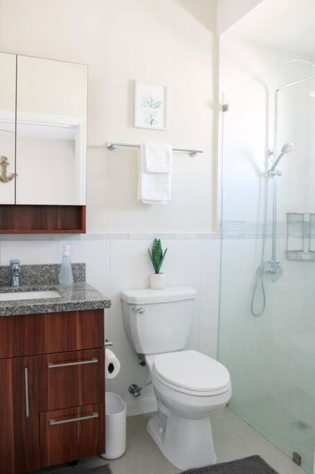 CasaLamar Beachside Retreat - 5