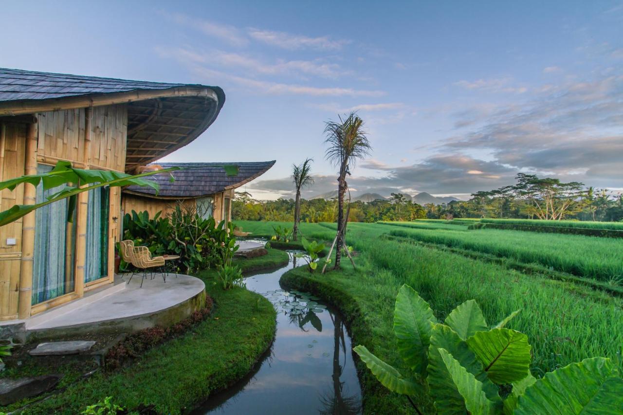 IPIAN Cinta by GenuineHost - 3