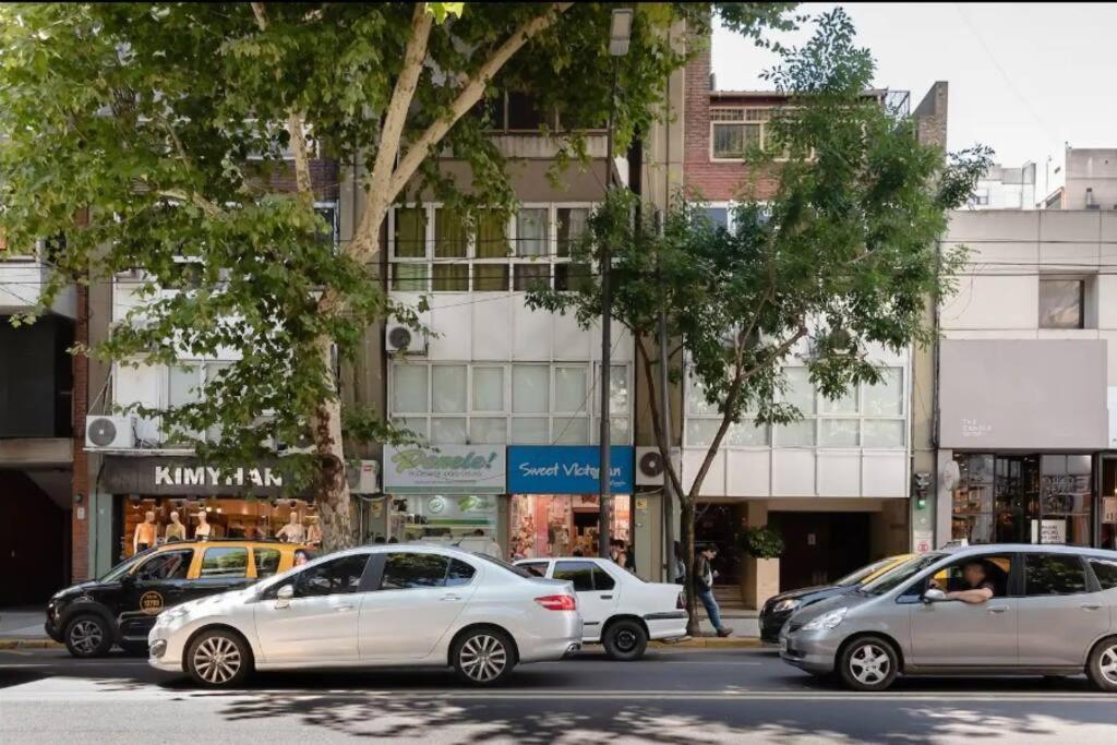 Moderno y Luminoso Monoambiente - 2