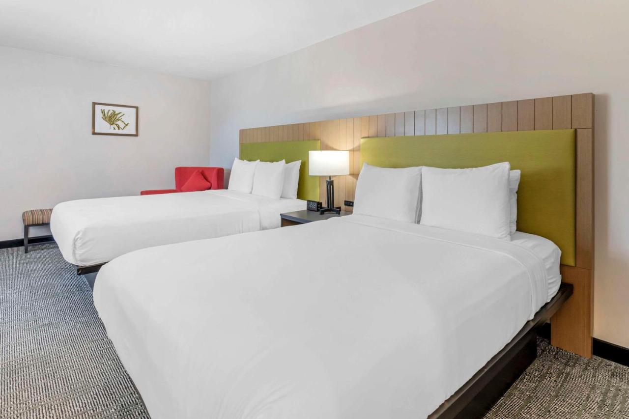 El Rancho Inn & Suites — photo 20