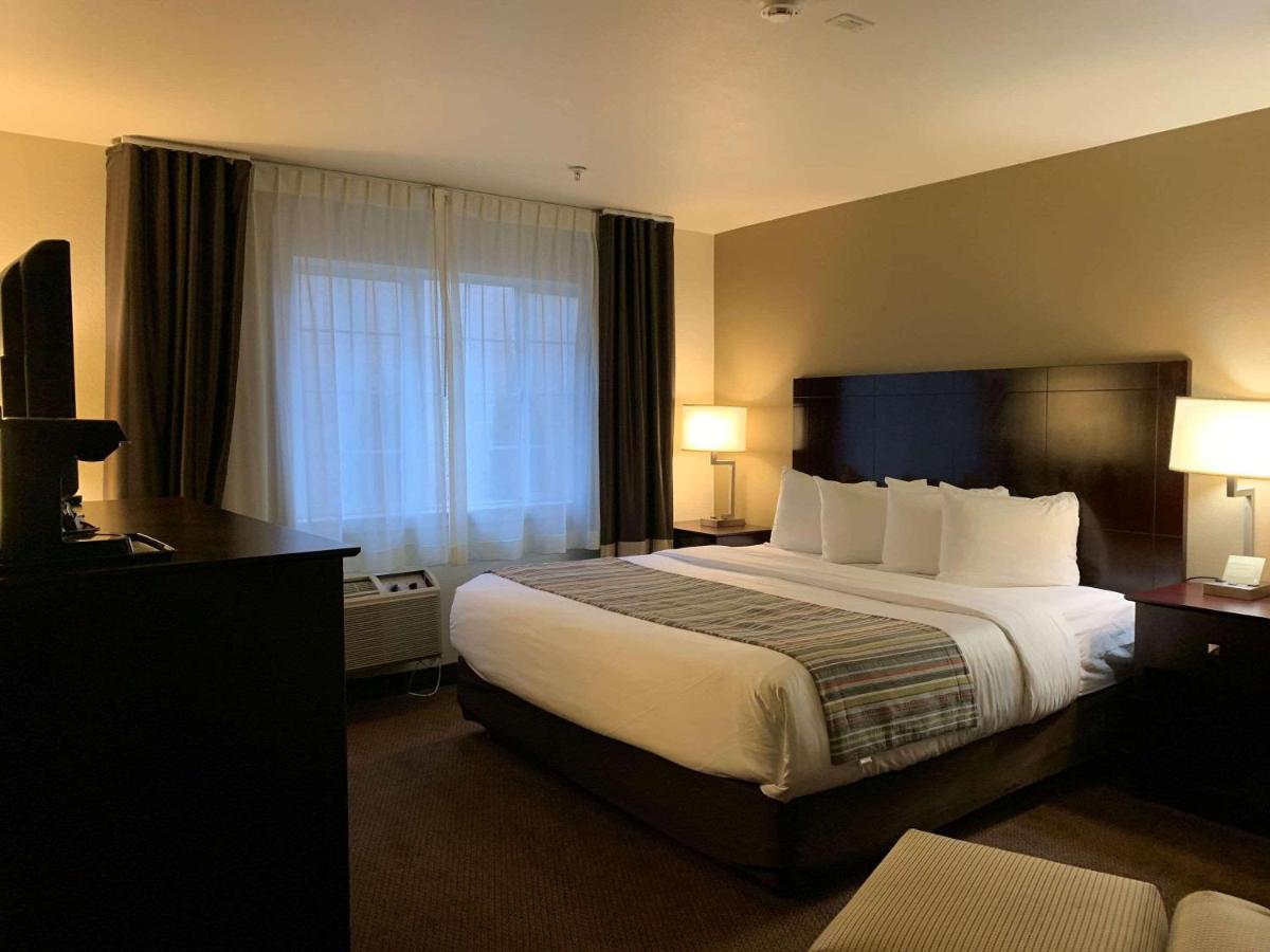 Country Inn — photo 9