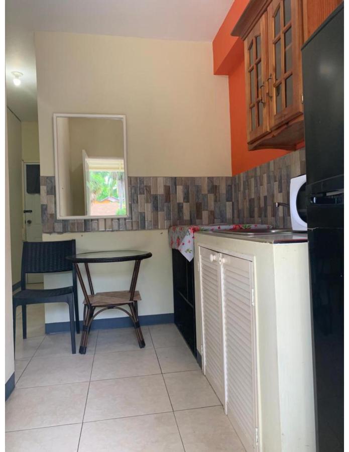 2-bedroom Apt in an Ocean Front Resort in Jamaica - Enjoy 7 miles of White Sand Beach! apts - 4