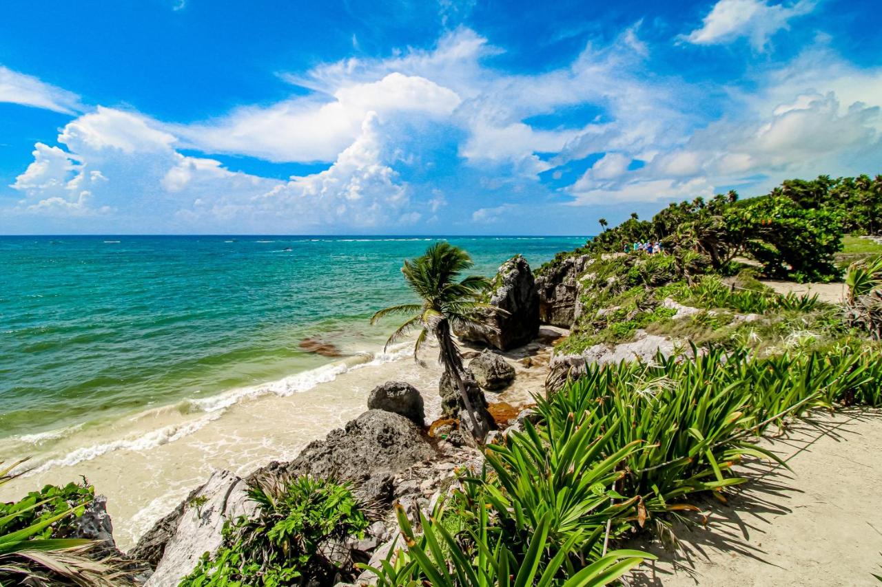 Pure Tulum 303 photo