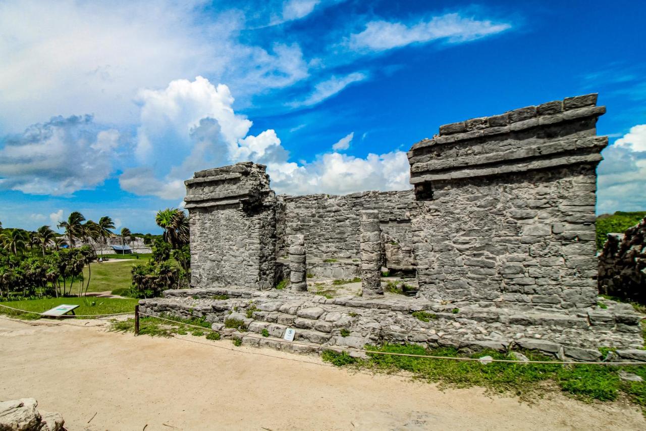 Pure Tulum 303 photo