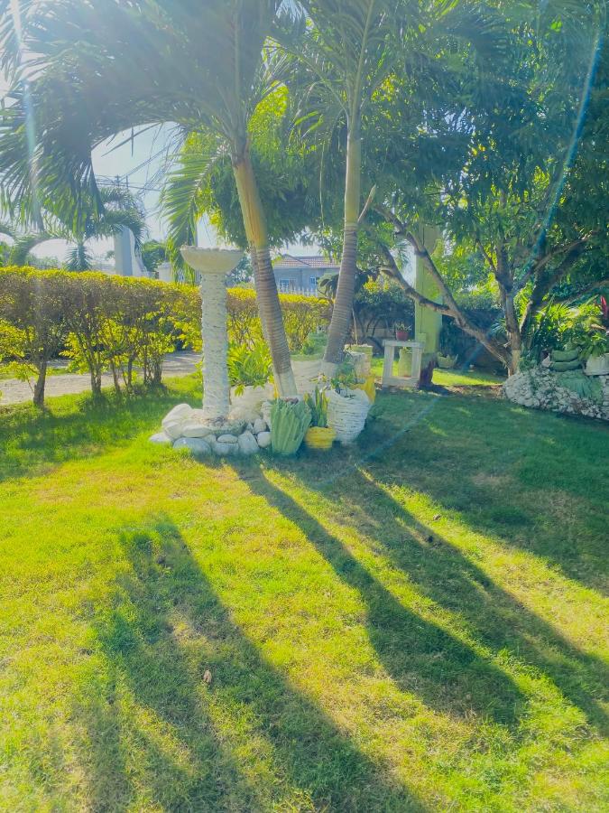 Cindy's Garden Stay - 4