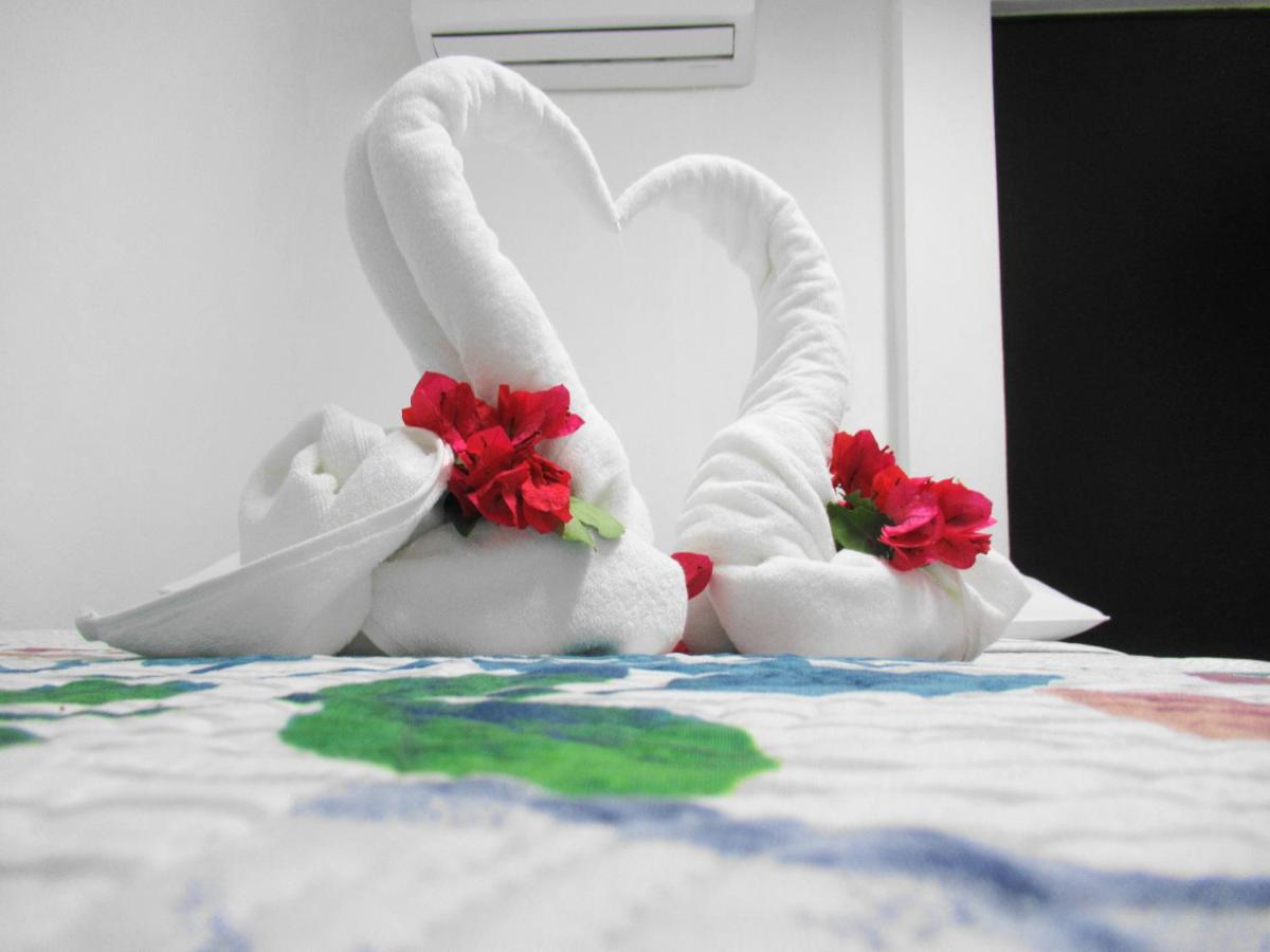 Cocos - 3