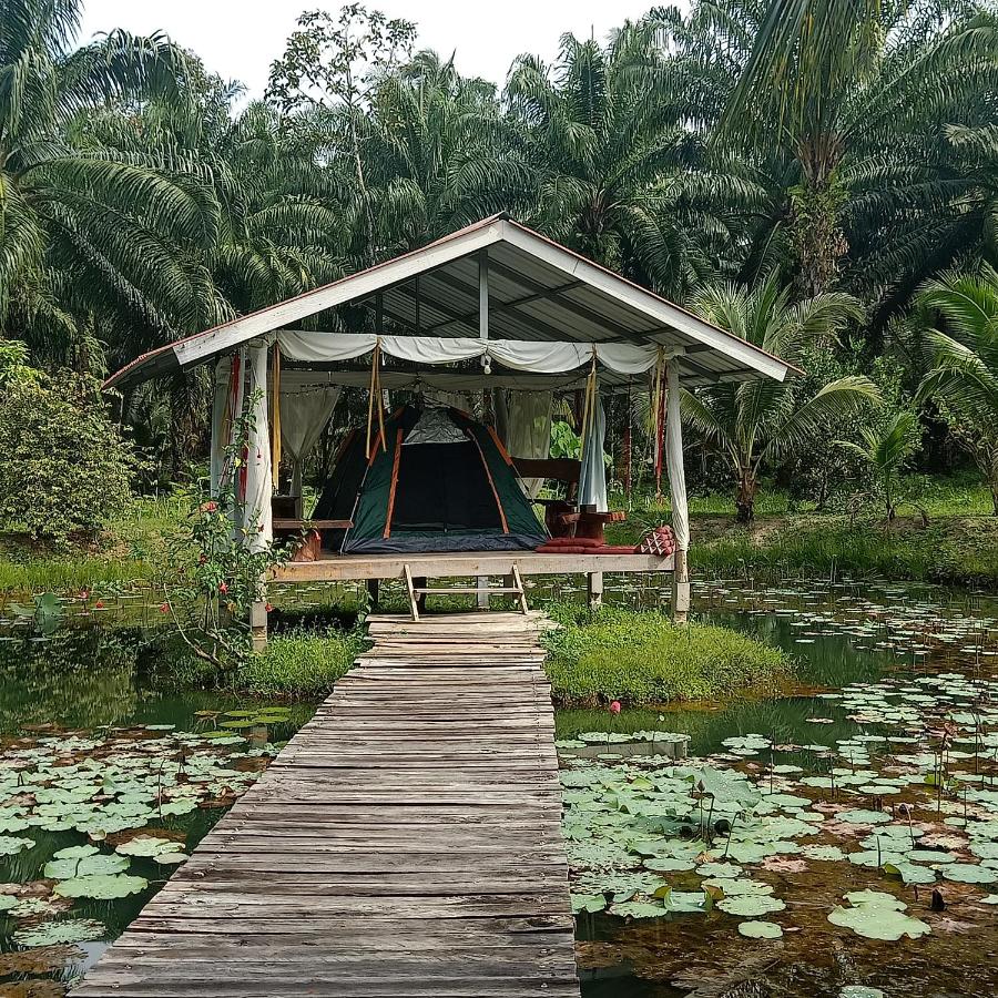 Koom Kachanaan — quarto