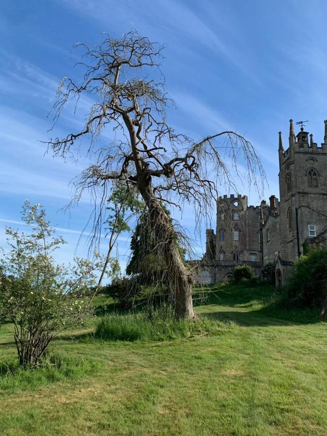 Midford Castle Sport and Wellness Resort - 2