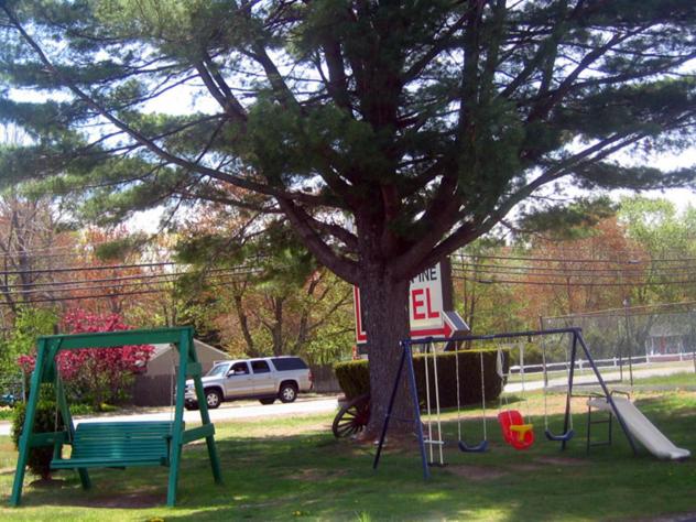 Knotty Pine Motel — photo 10