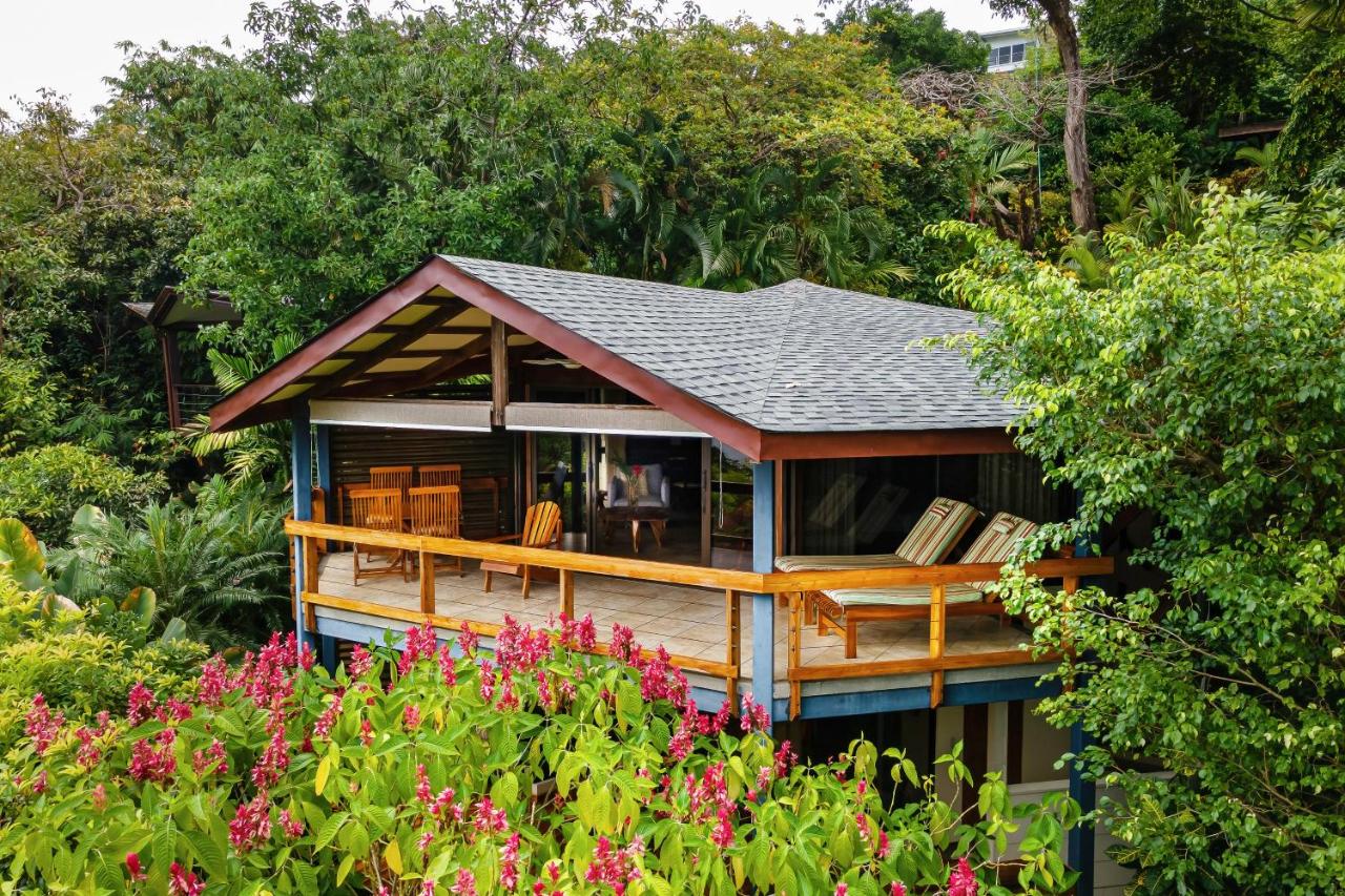 Tulemar Resort photo