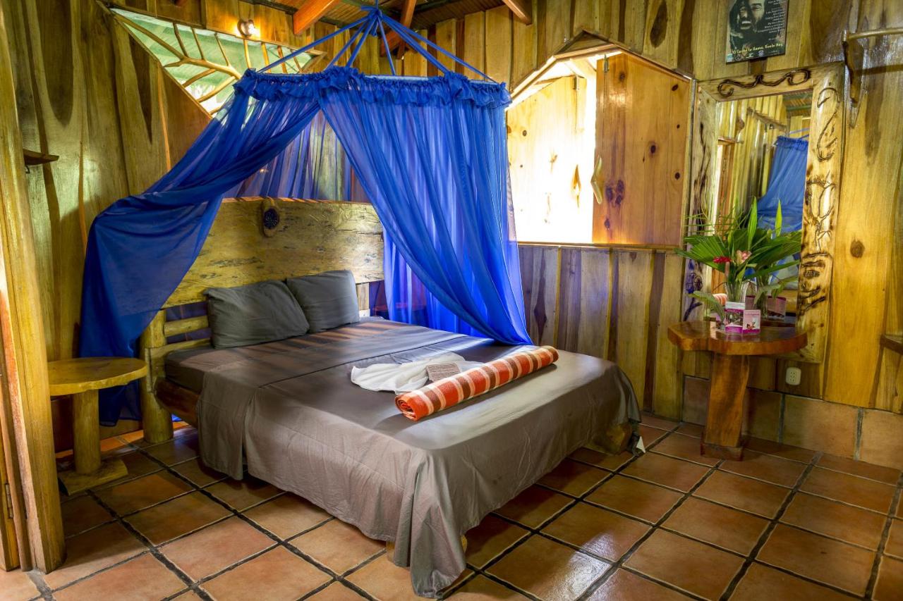 Hotel La Costa de Papito photo