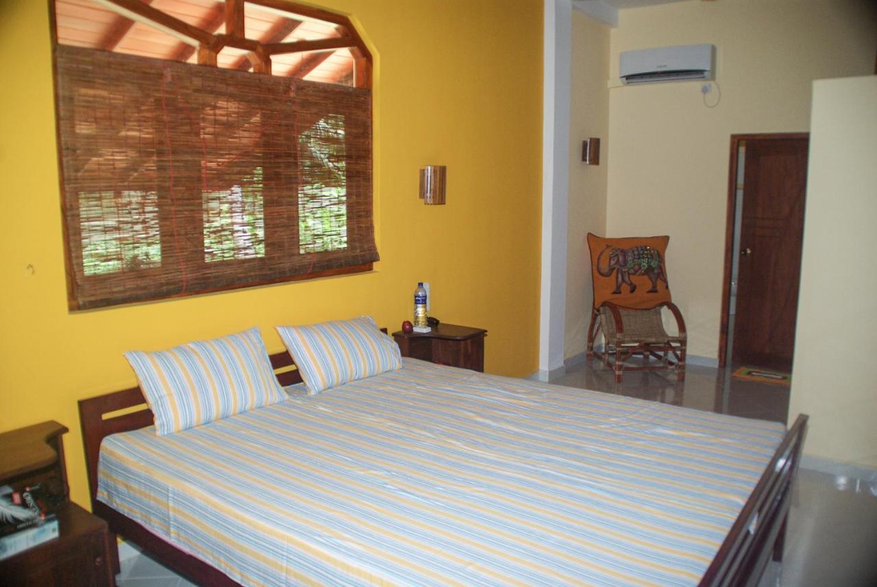 King Coconut Lodge Habaraduwa Updated 21 Prices King Coconut Lodge Habaraduwa Updated 21 Prices