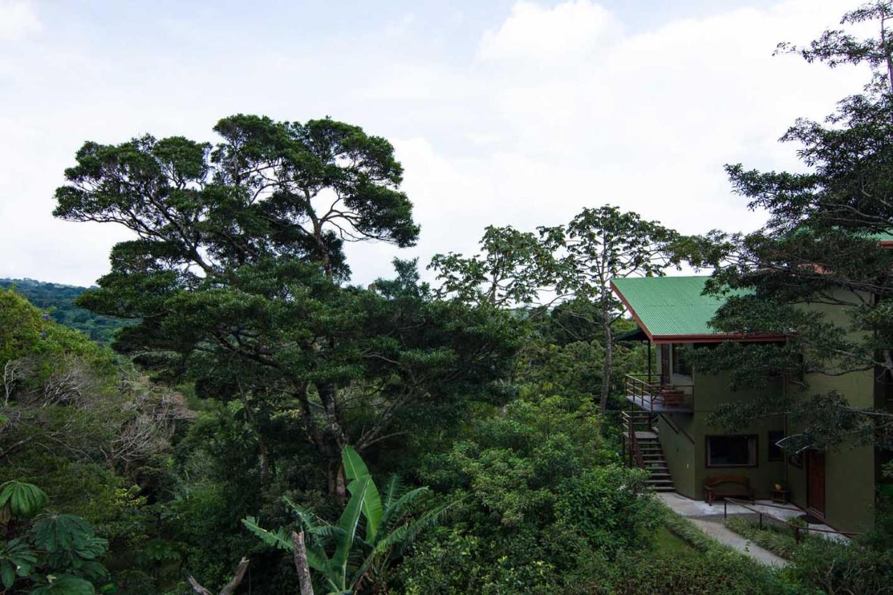 Cala Lodge photo
