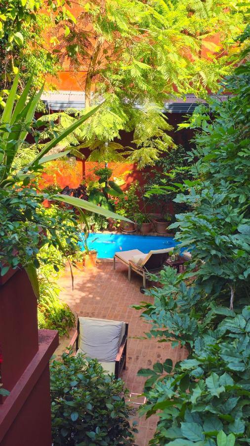 BE Jardin Escondido By Coppola photo