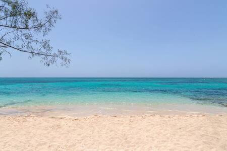 Hospitality Expert CHA3 - Pool Beach Hip-Strip - 4