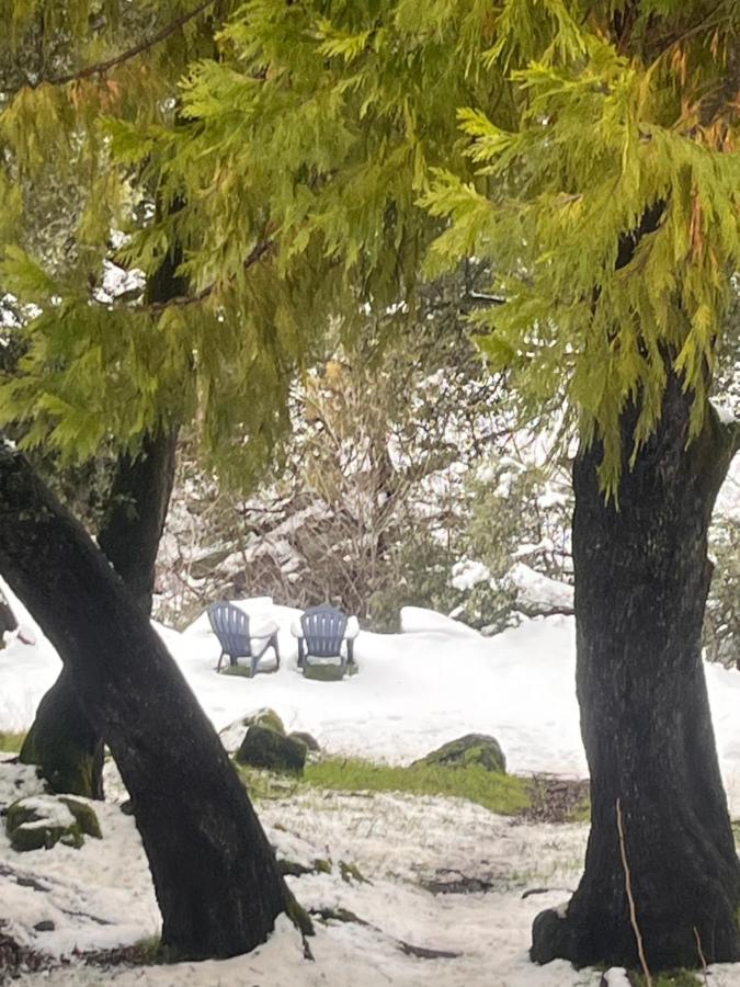 Ponderosa Pines Escape — photo 11