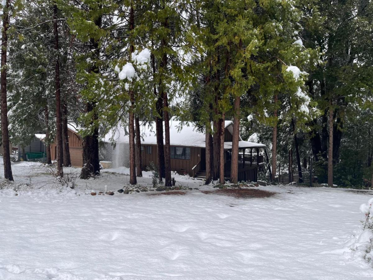 Ponderosa Pines Escape — photo 9