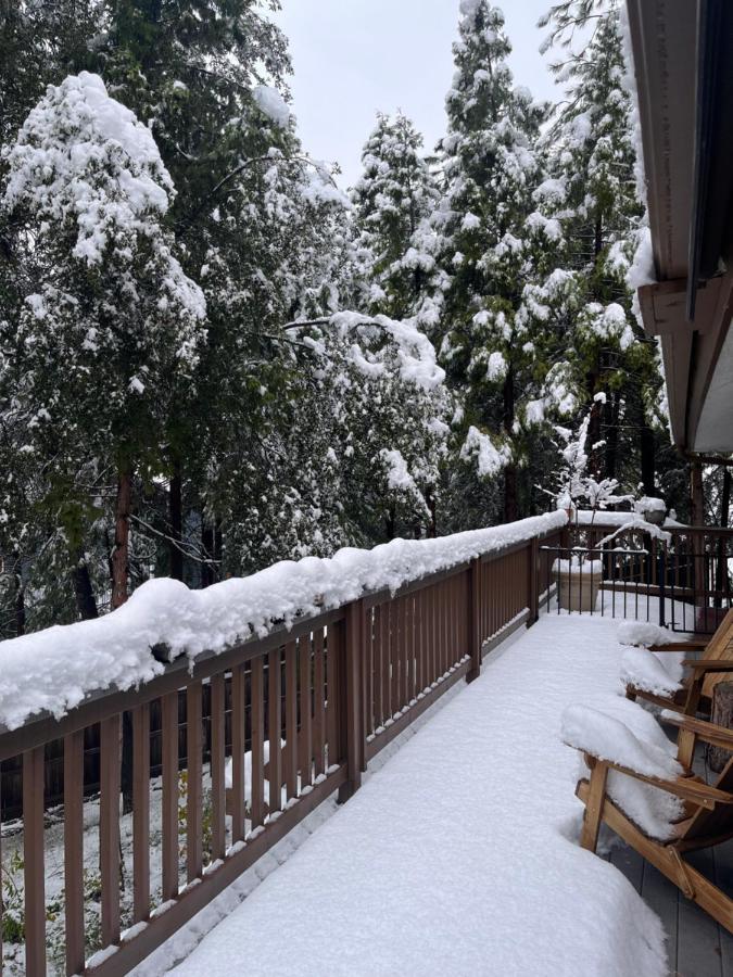Ponderosa Pines Escape — photo 10
