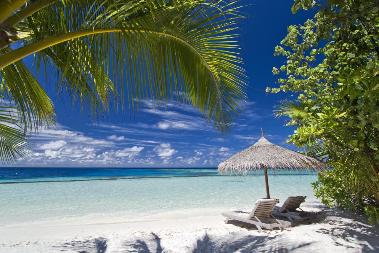 Beach: Gangehi Island Resort & Spa