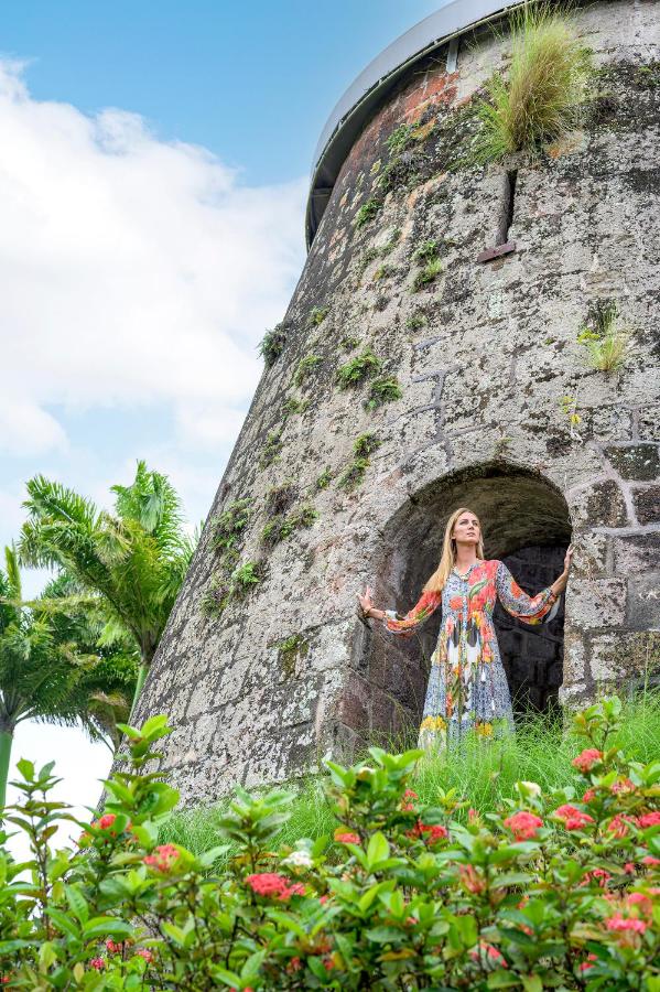 Montpelier Nevis - 4