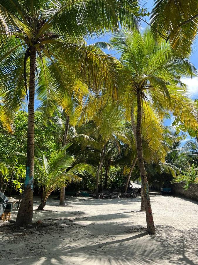 Gaskara Guesthouse - 3