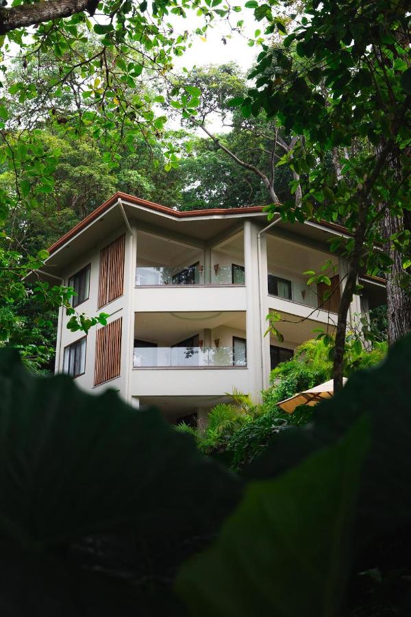 Arenas Del Mar Beachfront & Rainforest Resort Member of the Cayuga Collection photo