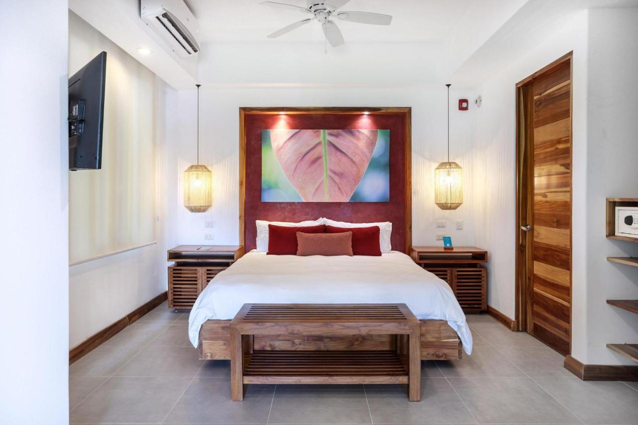 Arenas Del Mar Beachfront & Rainforest Resort Member of the Cayuga Collection photo