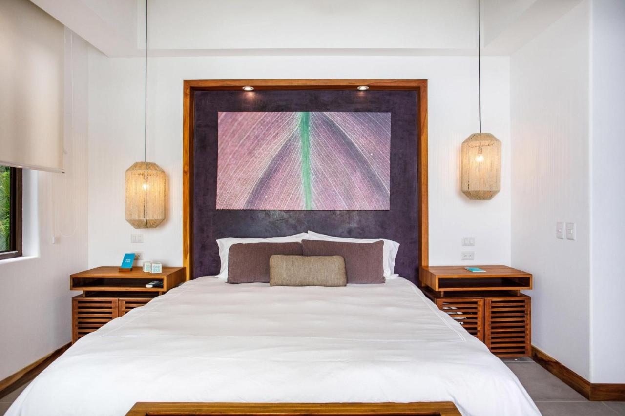 Arenas Del Mar Beachfront & Rainforest Resort Member of the Cayuga Collection photo