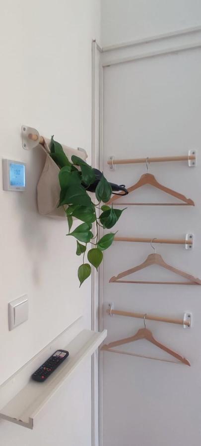 Casa do Albuquerque - 2