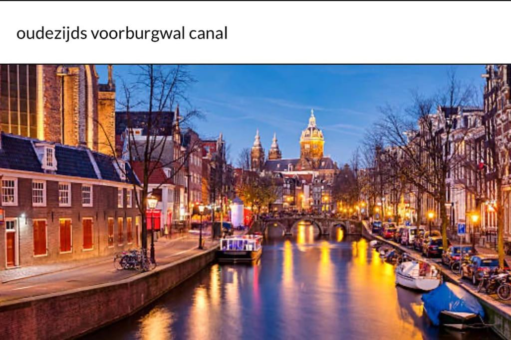 Unique Royal Basement residence - 5