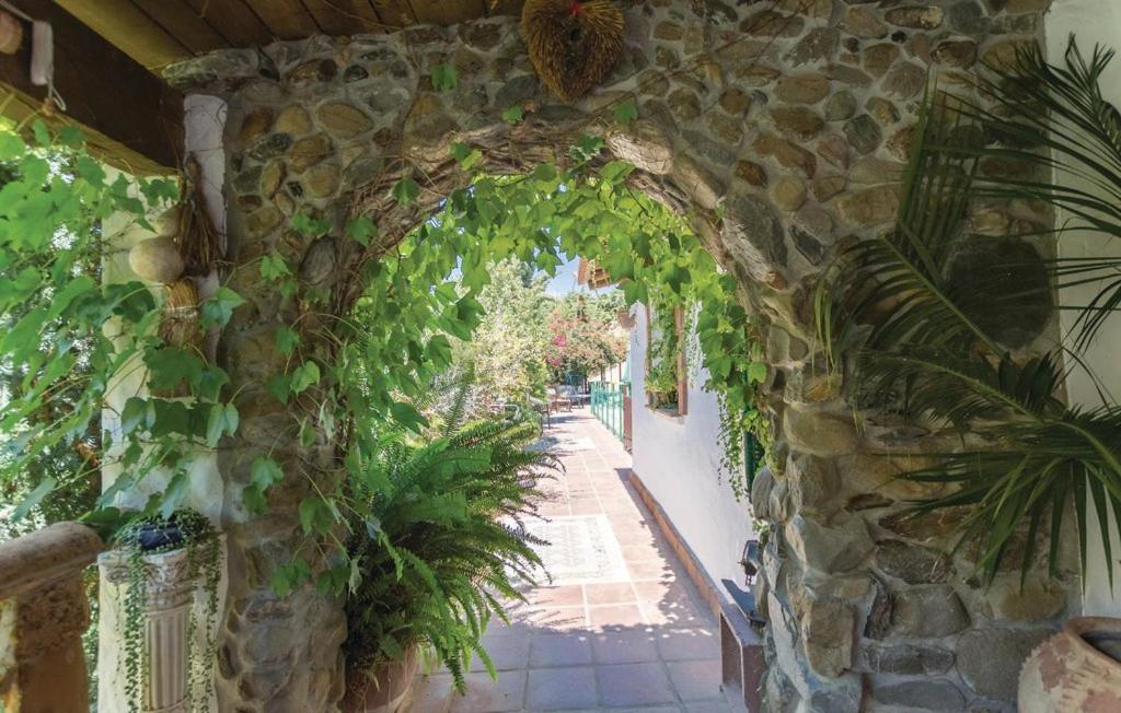 Finca Los Burros - 4