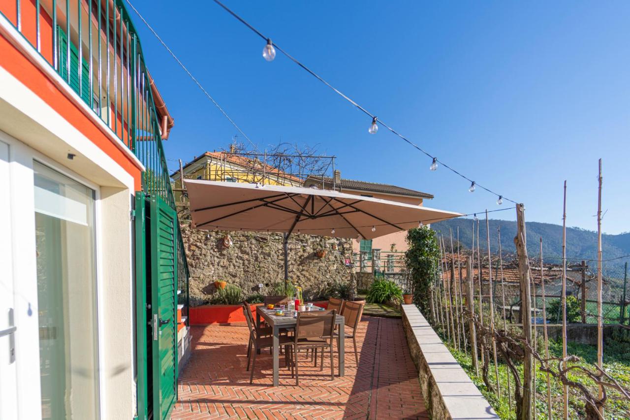 B&B La Volpe - 5